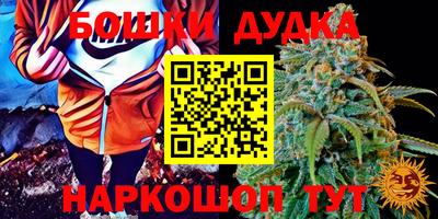 mdpv Аша